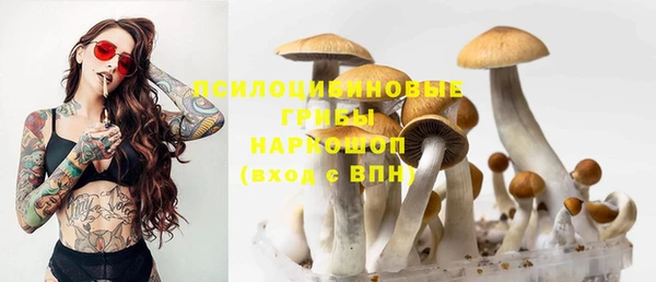 mix Козельск