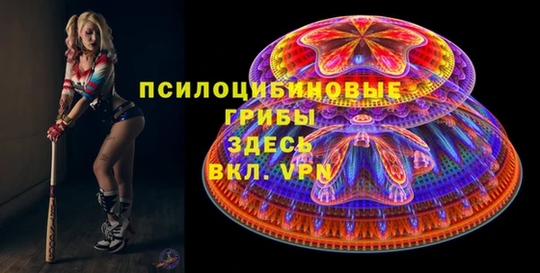 mix Козельск