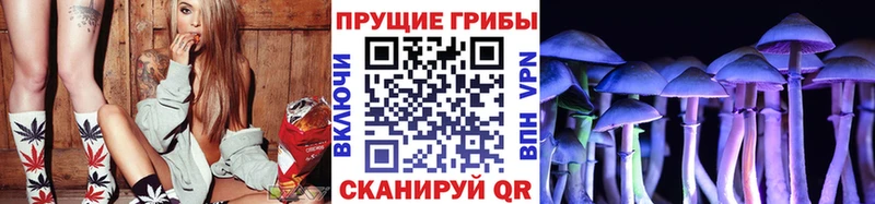 Псилоцибиновые грибы Cubensis  ссылка на мегу маркетплейс  Красноуфимск 