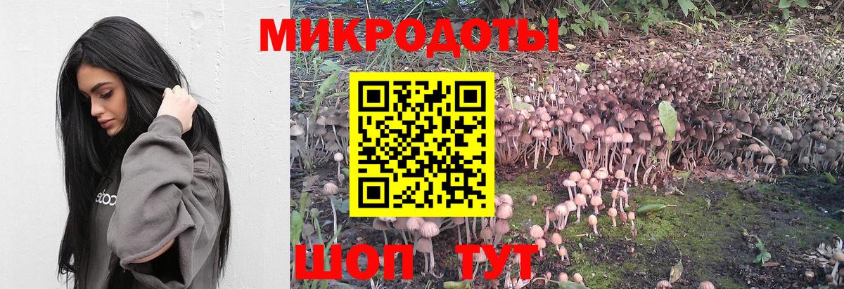 Галлюциногенные грибы GOLDEN TEACHER Красноуфимск