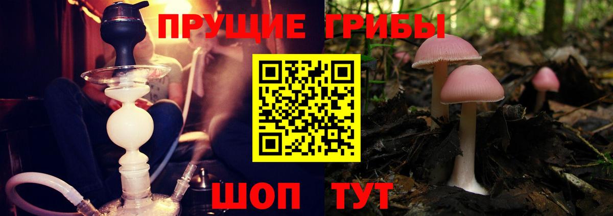 Красноуфимск  Псилоцибиновые грибы Cubensis  наркота  Псилоцибиновые грибы Psilocybine cubensis  Вход с VPN 